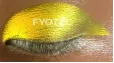 Dark Skin Tone Effect